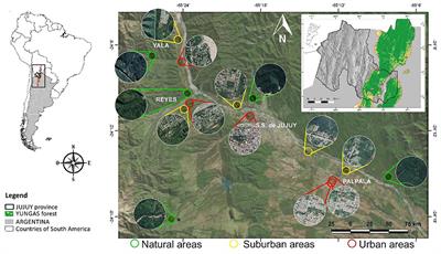 Effects of urbanization on the structure of plant-flower visitor network at the local and landscape levels in the northern Argentinian Yungas forest